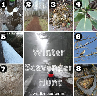 Winter Scavenger Hunt - Wild Tales of...