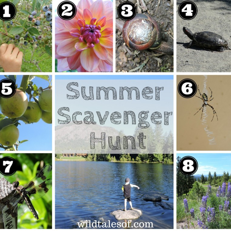 Summer Scavenger Hunt - Wild Tales of...