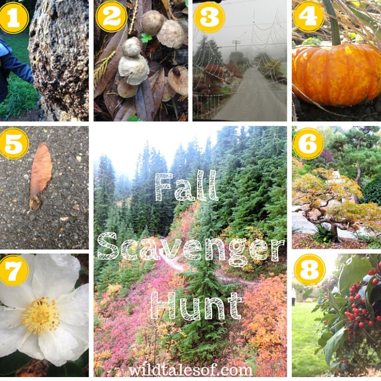 Fall Scavenger Hunt - Wild Tales of...